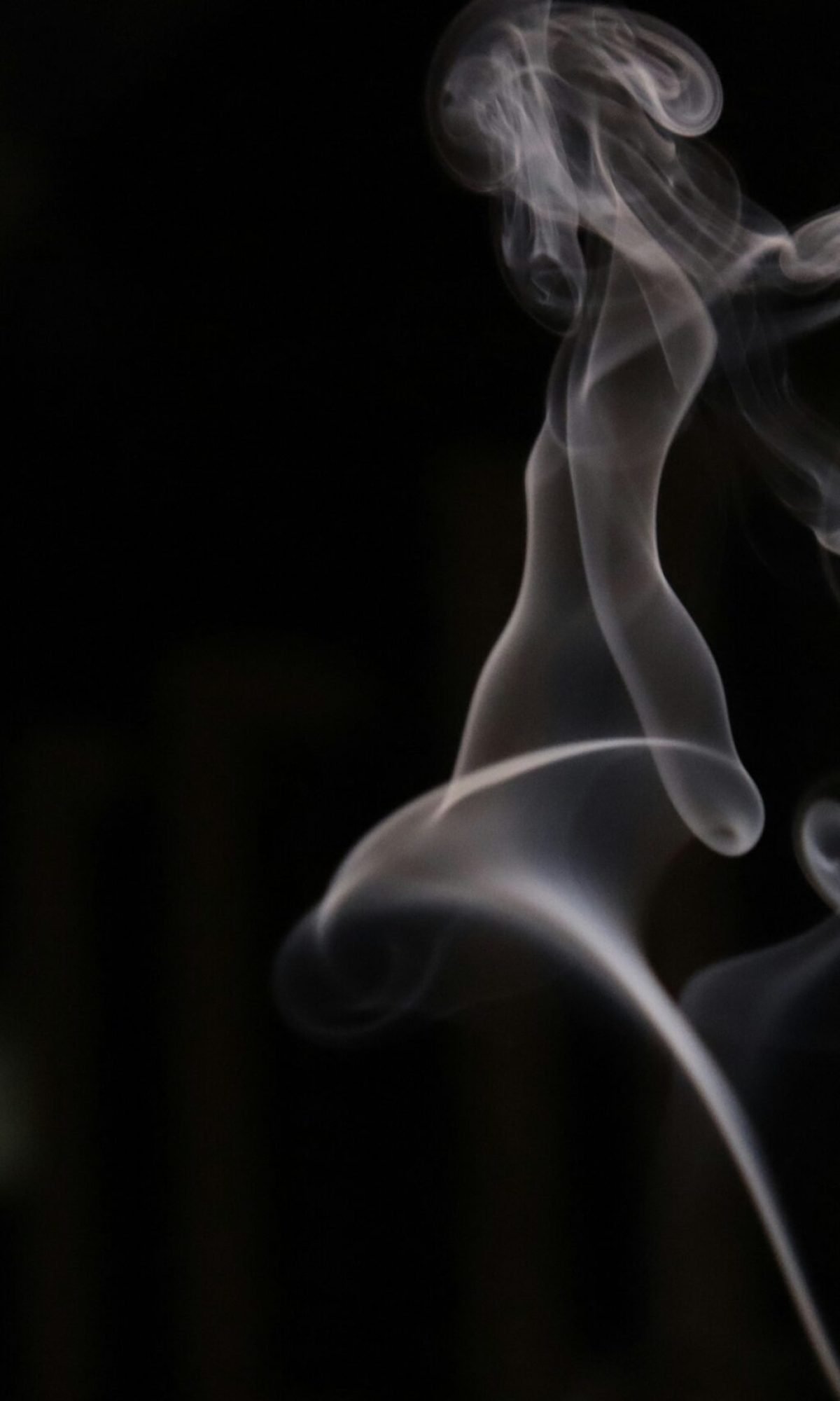 radhika-agarwal-ZJ-0d7uNvo8-unsplash