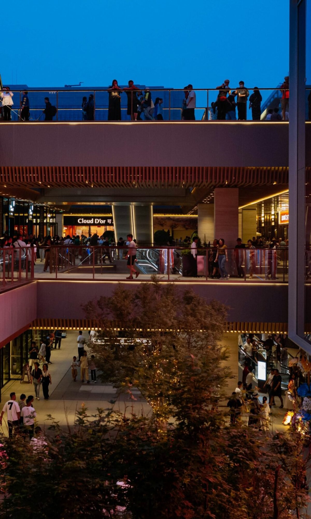 tommao-wang-whdH8JSn9n8-unsplash